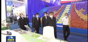 大大看蓝宝石.gif 大大看蓝宝石.gif